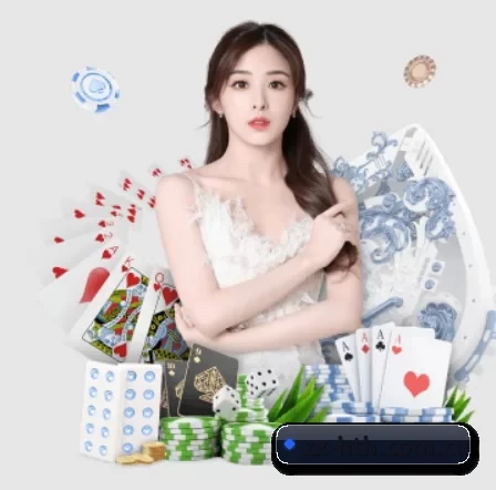 华体会体育入口 APP 界面